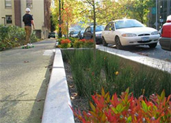 Stormwater Planters